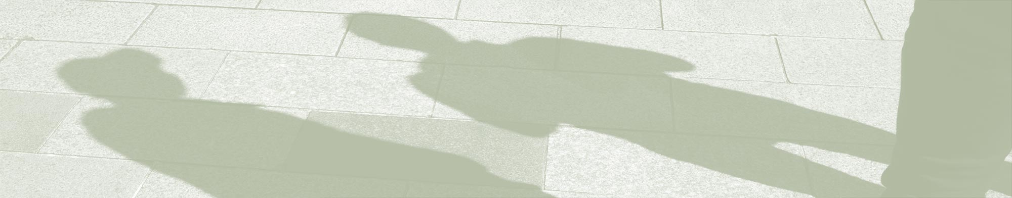 werkwijze mentorschap nhn